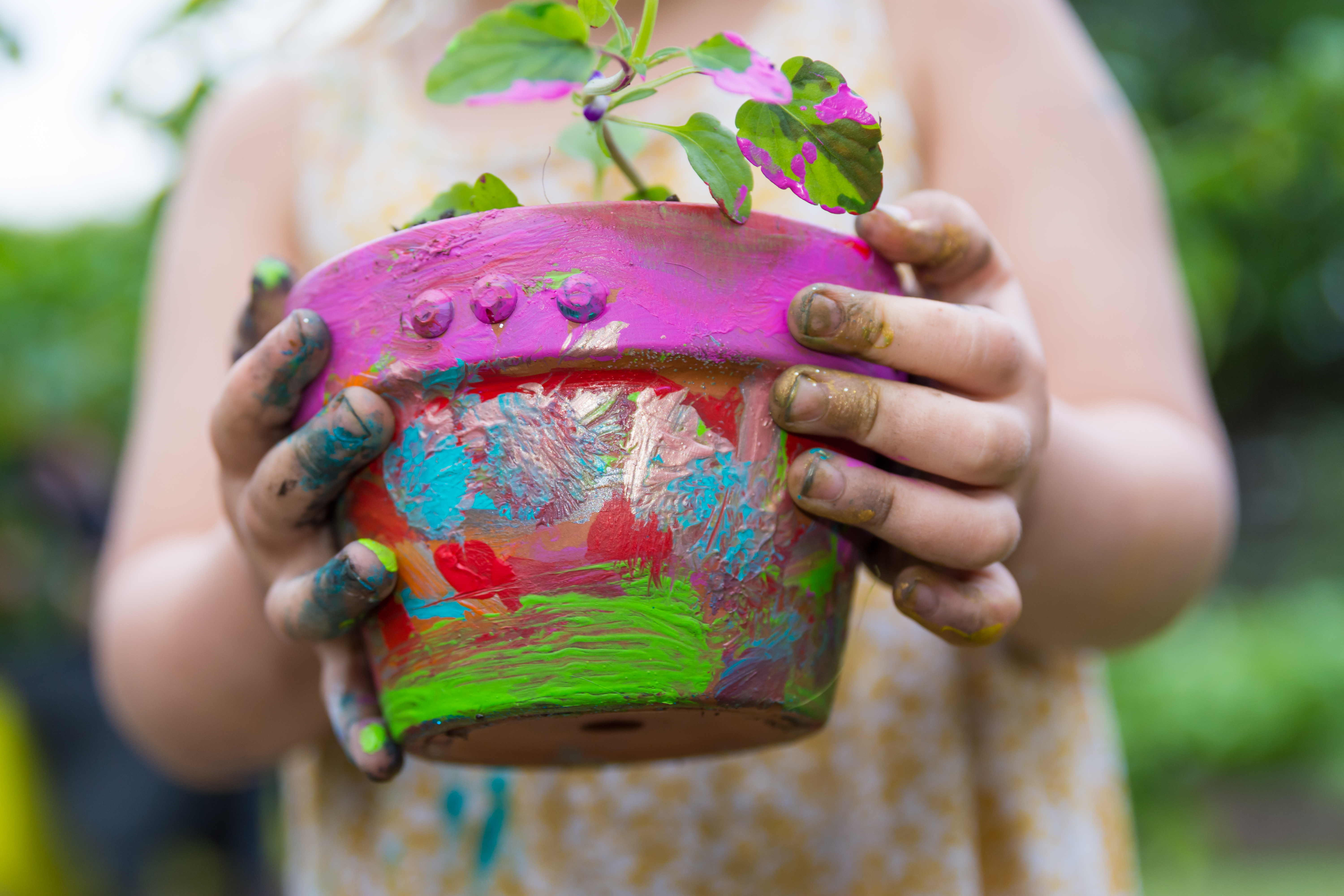 Painted Flower Pot